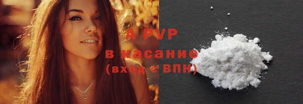 ПСИЛОЦИБИНОВЫЕ ГРИБЫ Магас