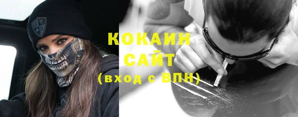 ПСИЛОЦИБИНОВЫЕ ГРИБЫ Магас