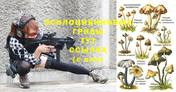 мяу мяу кристалл Лабытнанги