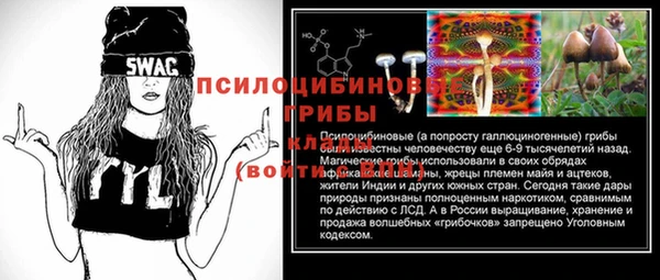 мяу мяу кристалл Лабытнанги